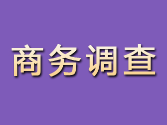 绥芬河商务调查